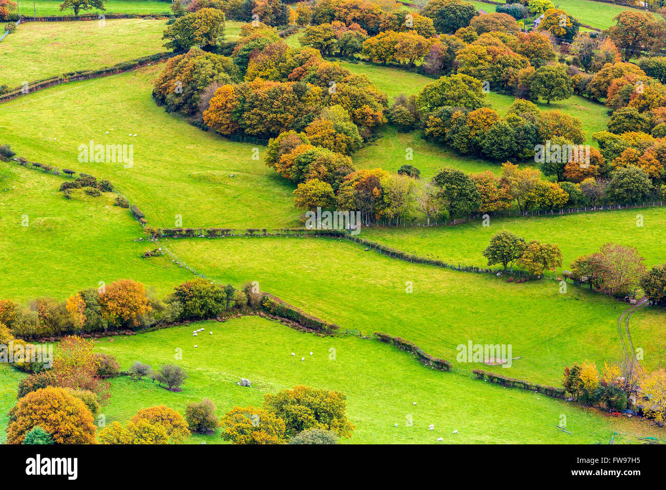 Vallée de Conwy vu de Pen-y-Gaer un Âge de Bronze fort de colline près du village de Llanbedr-y-Cennin, Conwy, Pays de Galles, Royaume-Uni. Banque D'Images