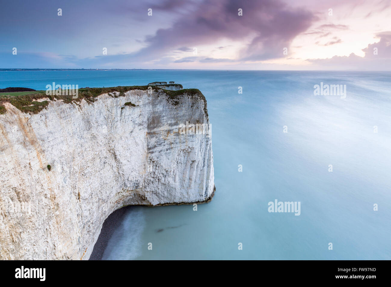 Handfast Point à la côte jurassique du Dorset, Studland, Dorset, Royaume-Uni, Europe. Banque D'Images