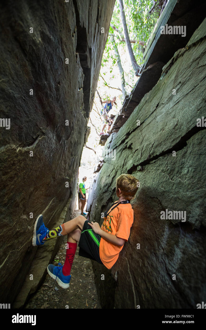 Cuisine du Diable au Caesars Head State Park. Banque D'Images