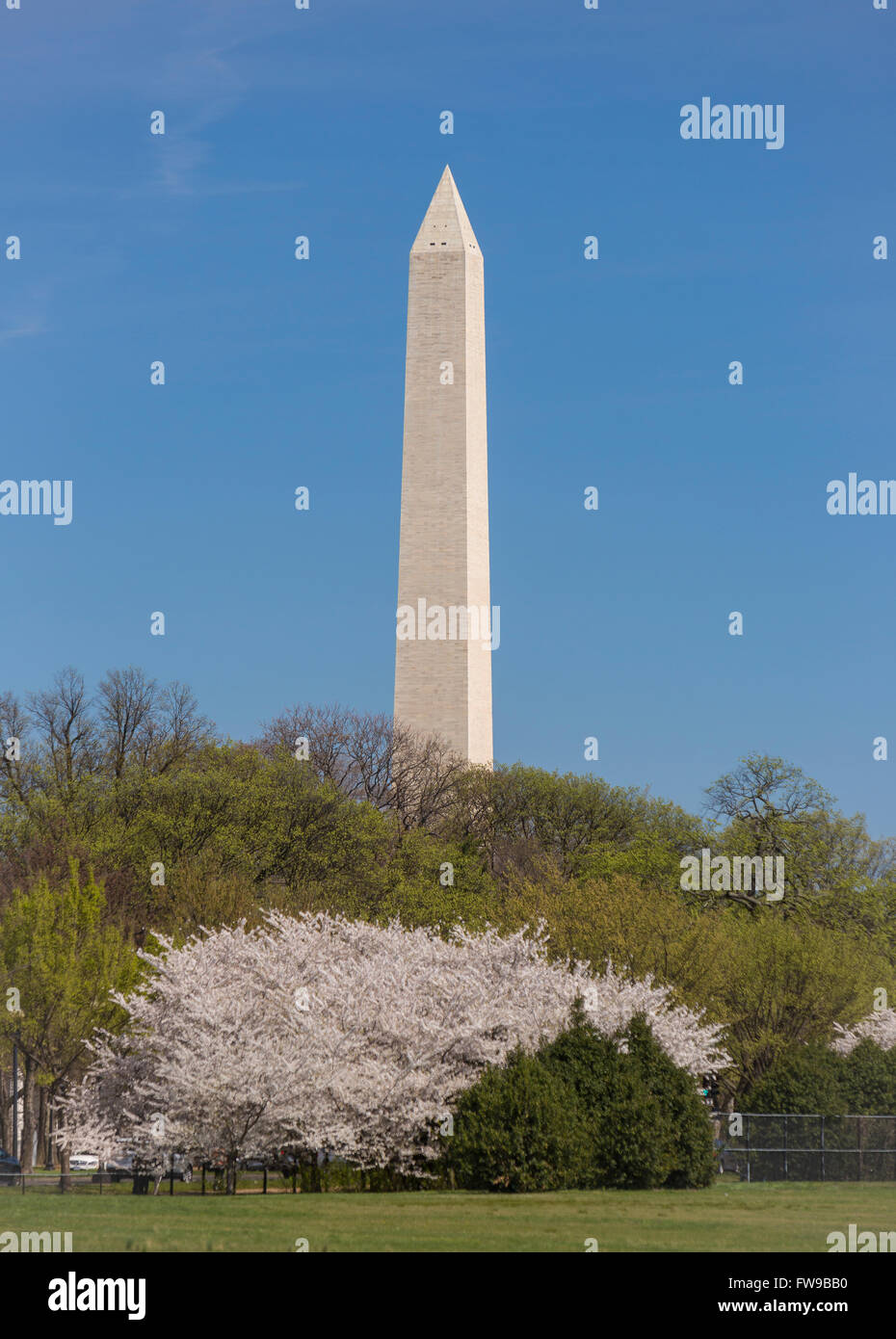 WASHINGTON, DC, USA - Washington Monument. Banque D'Images