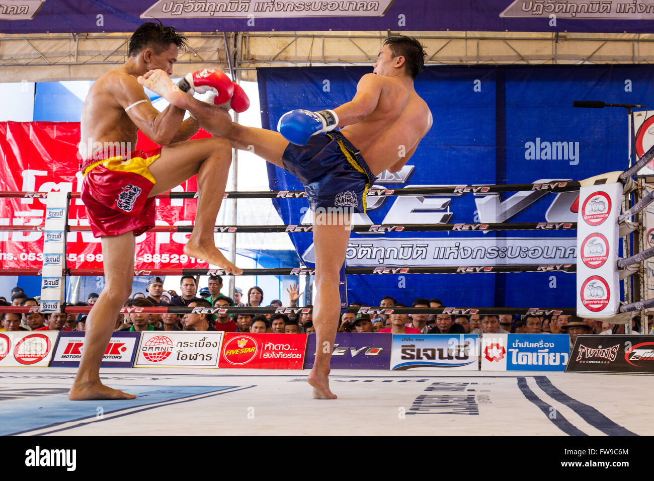 Le Muay Thai, boxe thaïe, deux hommes se battre dans le ring de boxe, Thaïlande Banque D'Images