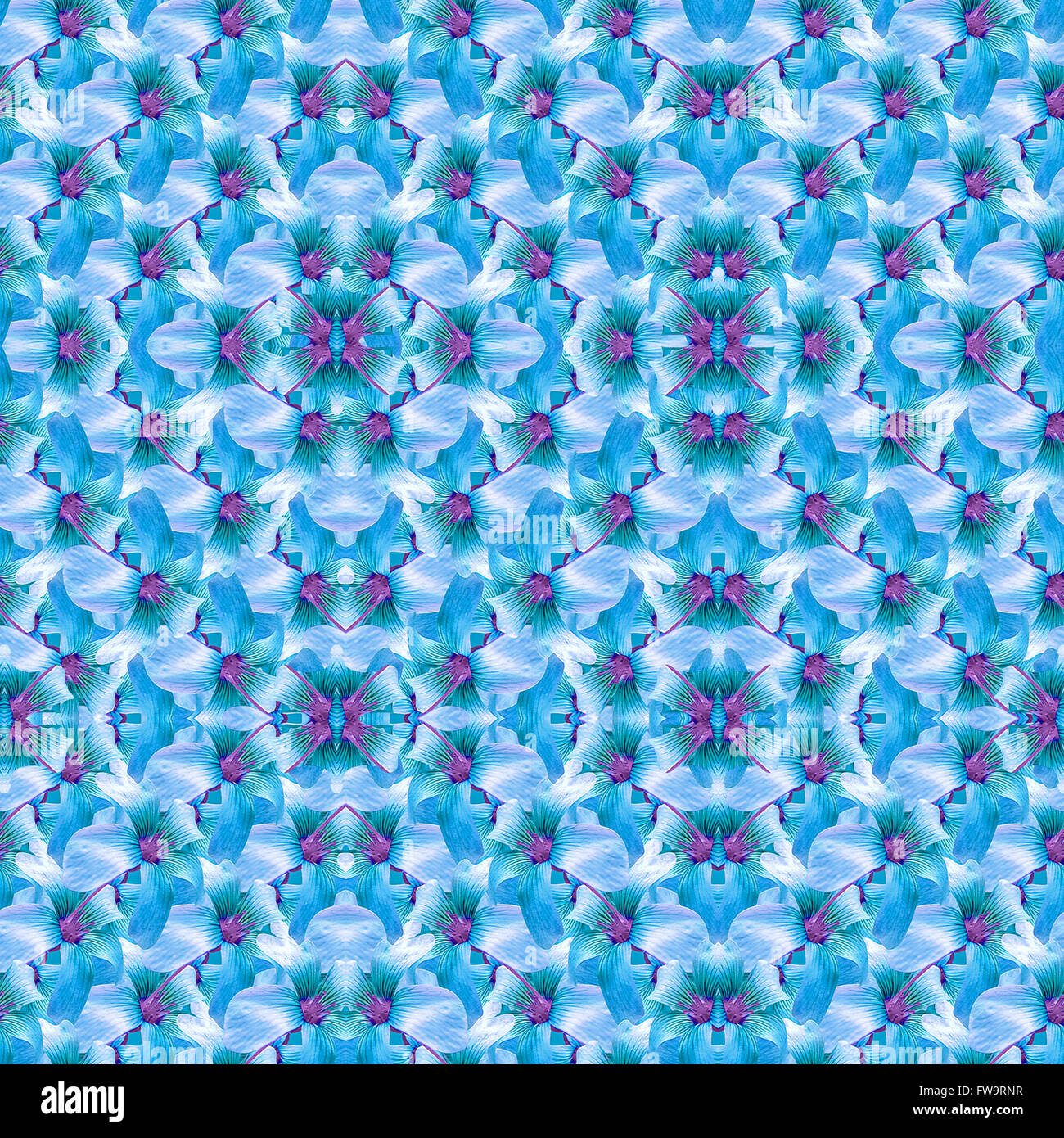 La technique de collage numérique design moderne contrôle géométrique stylisée motif floral motif transparente dans les tons froids Banque D'Images