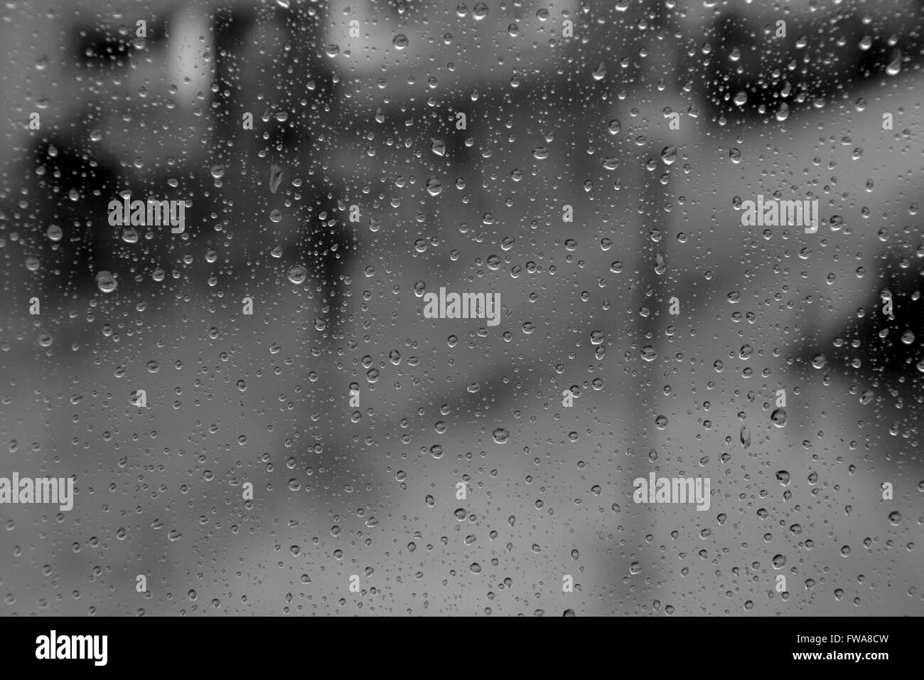 Un homme seul une marche sous la pluie à travers une fenêtre des pluies en noir et blanc. Banque D'Images