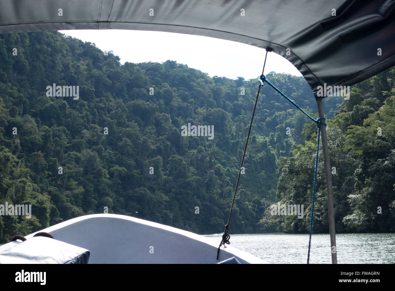 Voyage de fleuve Rio Dulce, Guatemala Banque D'Images
