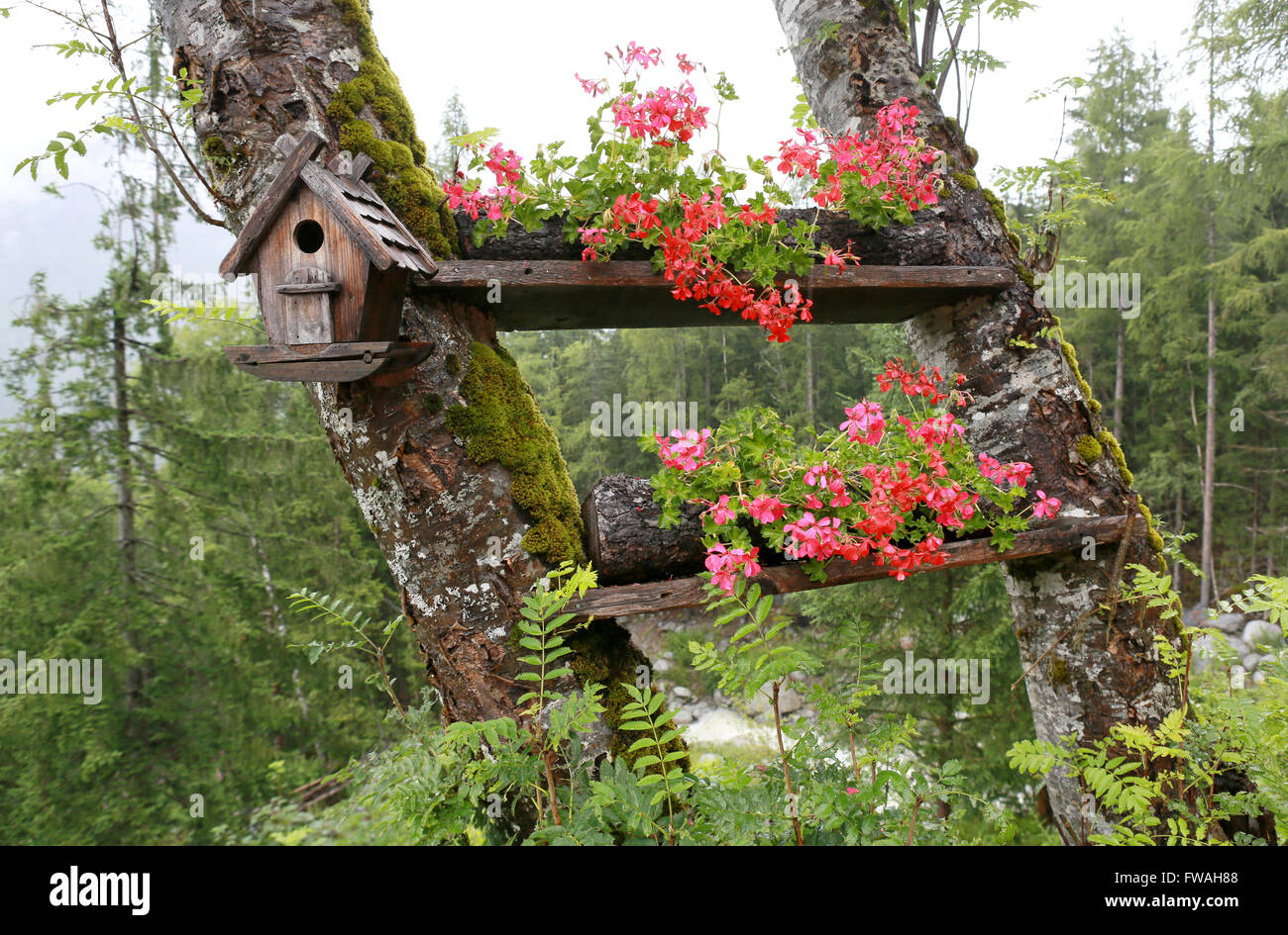Fleurs et d'un nichoir à Chamonix, Haute-Savoie, France. Banque D'Images