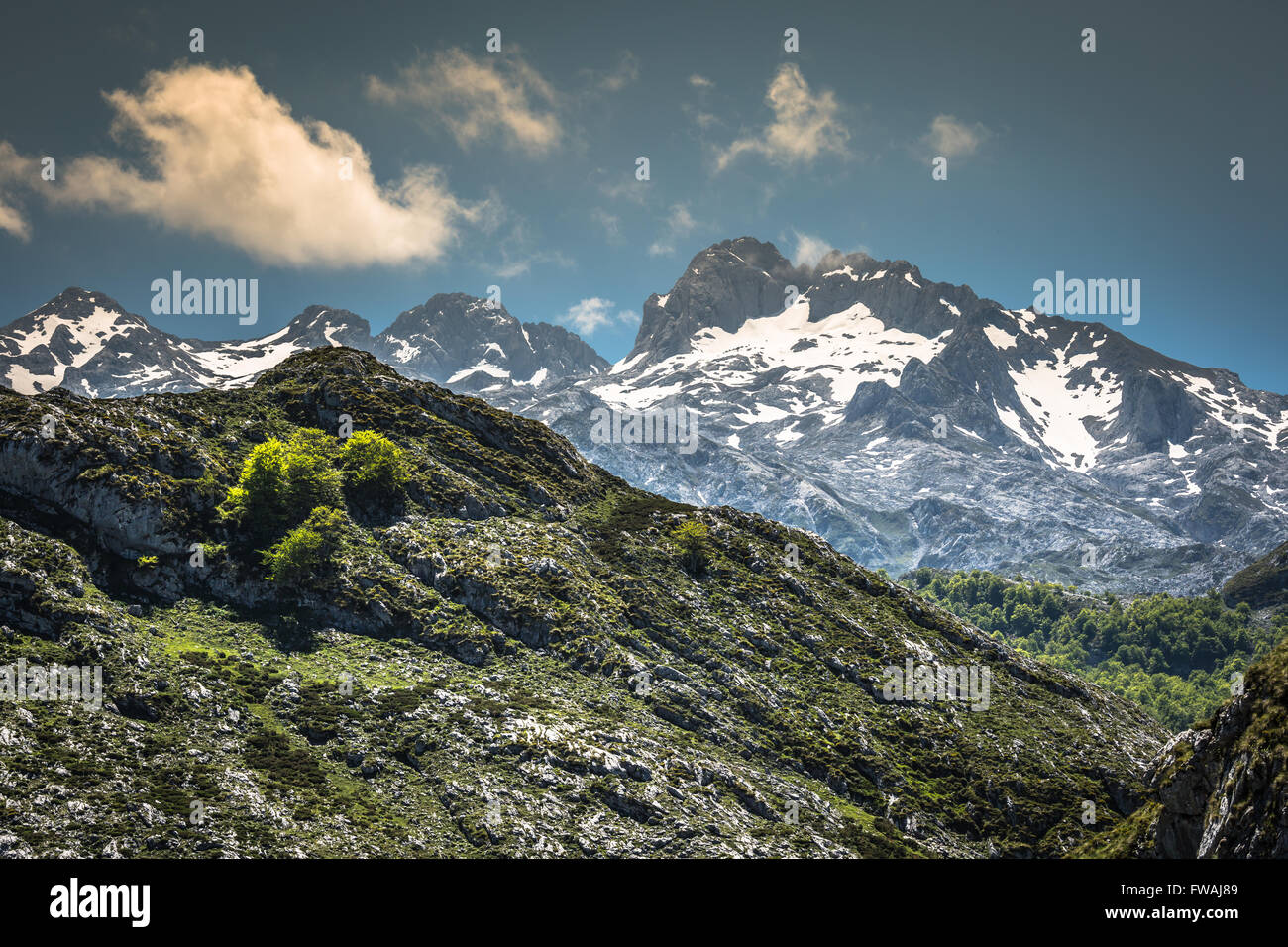 Montagnes Picos de Europa, Cantabria (Espagne) Banque D'Images