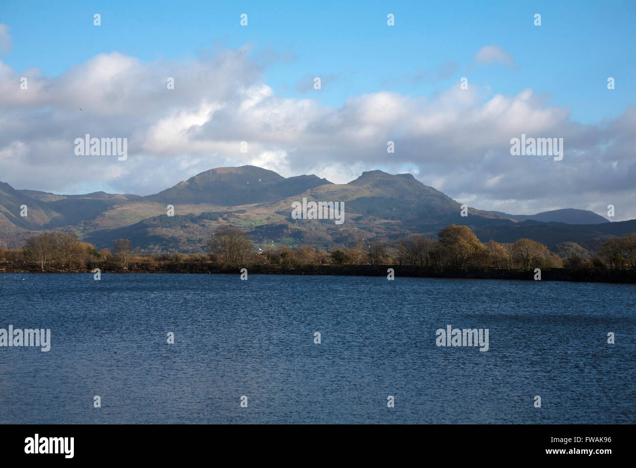 Les montagnes à l'échelle Moelwyn estuaire inondées de l'Afon Glaslyn de l'épi à Porthmadog Galles Snowdonia Banque D'Images