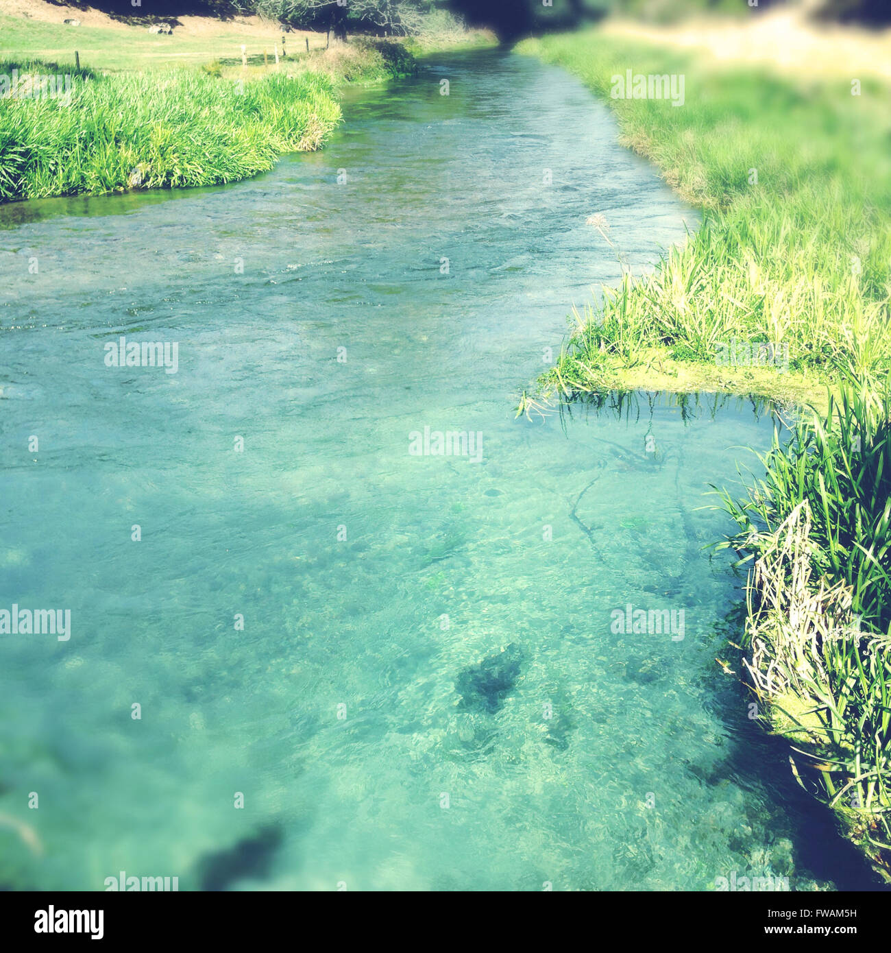 L'eau de source pure clean stream Banque D'Images