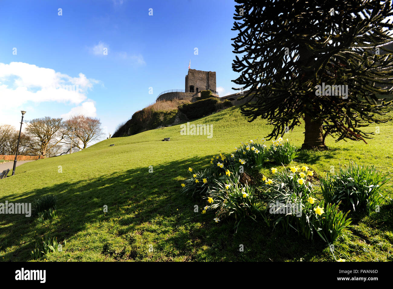 Château de Clitheroe, Clitheroe, Lancashire. Photo par Paul Heyes, jeudi 31 mars 2016. Banque D'Images