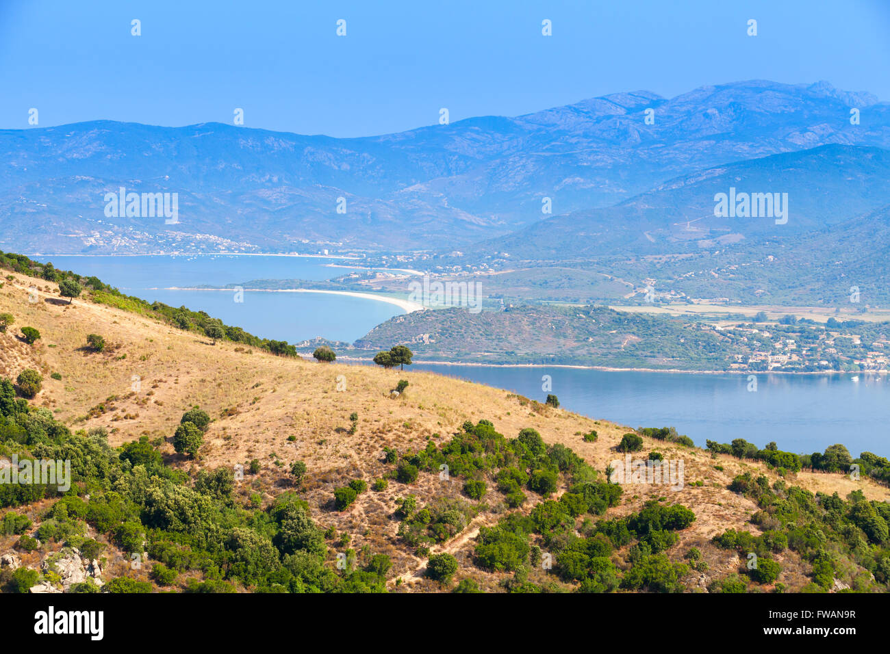 Paysage côtier de l'été du Français île montagneuse de la Corse. Les petits arbres poussent sur les collines côtières. Piana Région, France Banque D'Images