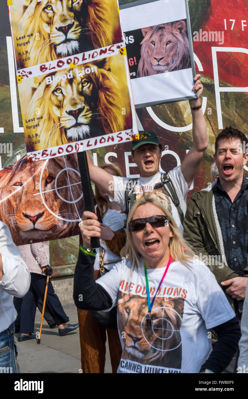 Londres, Royaume-Uni. 2 avril, 2016. Des manifestants à Londres lors d'un rassemblement à Trafalgar Square dans le cadre de la Marche Mondiale pour les Lions, appelant à mettre fin à l'élevage de lions pour des zoos pour enfants et la chasse des lions en captivité produites à l'abattage dans les exploitations agricoles en Afrique australe par Tourist Trophy hunters. Peter Marshall/Alamy Live News Banque D'Images