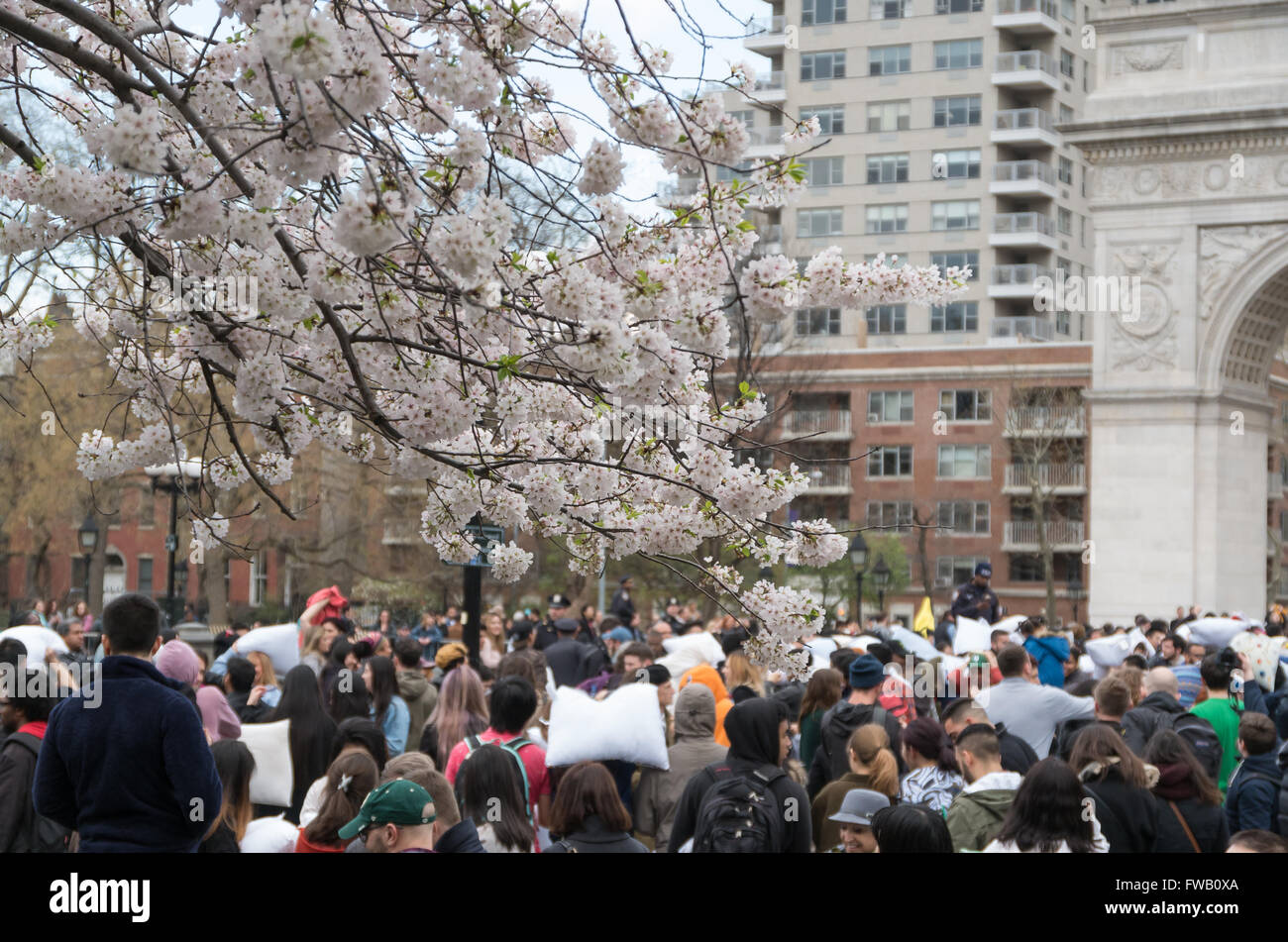 Des foules de gens regarder et participer à la plus grande pillow fight flashmob à Washington Square Park, New York Banque D'Images