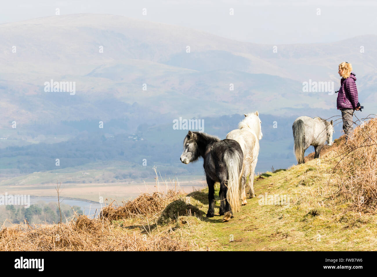 Une vue de dessus à la vallée des artistes au cours de la réserve RSPB de Ynyshir et l'estuaire Dyfi. Banque D'Images