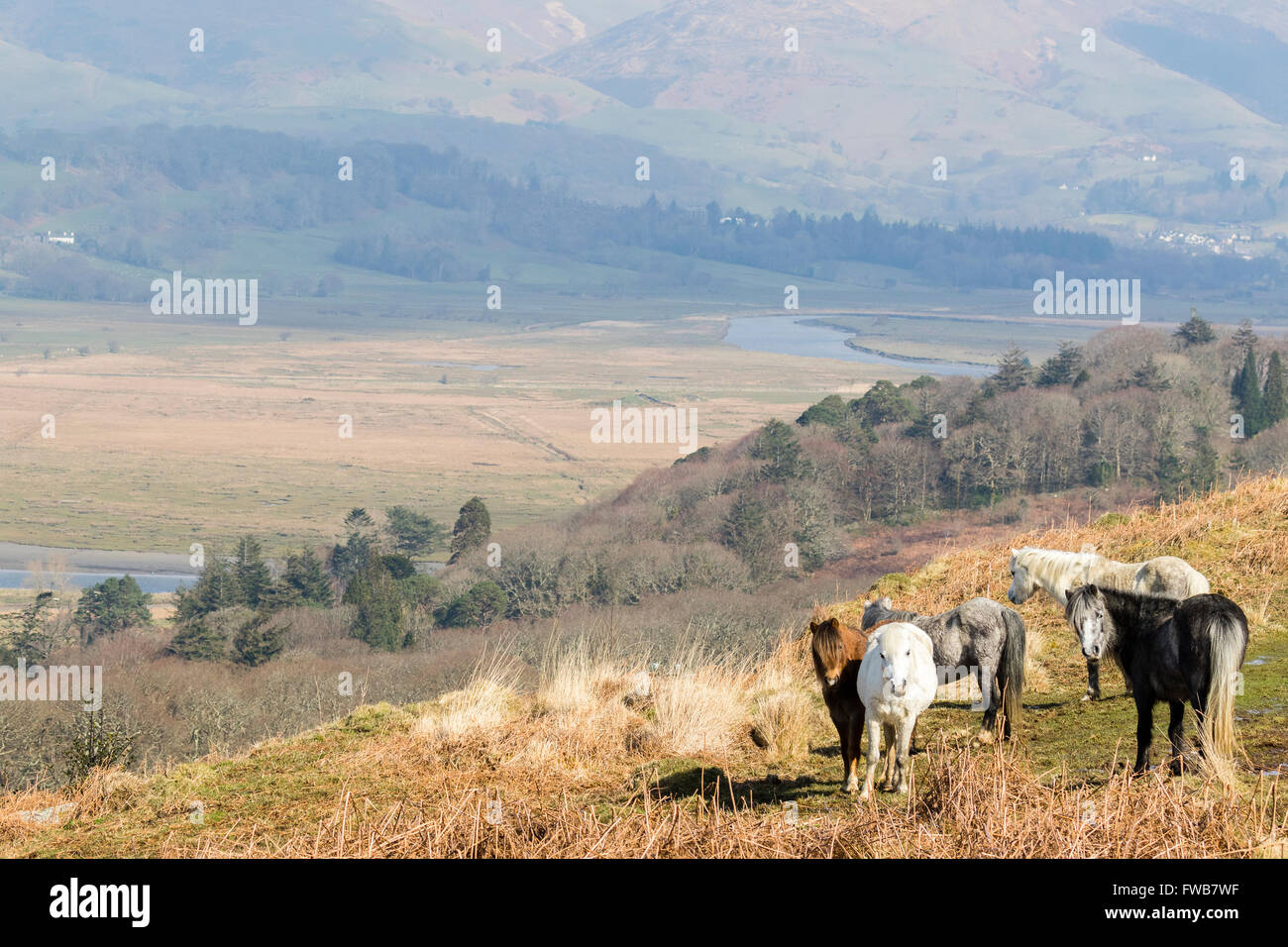 Une vue de dessus à la vallée des artistes au cours de la réserve RSPB de Ynyshir et l'estuaire Dyfi. Banque D'Images