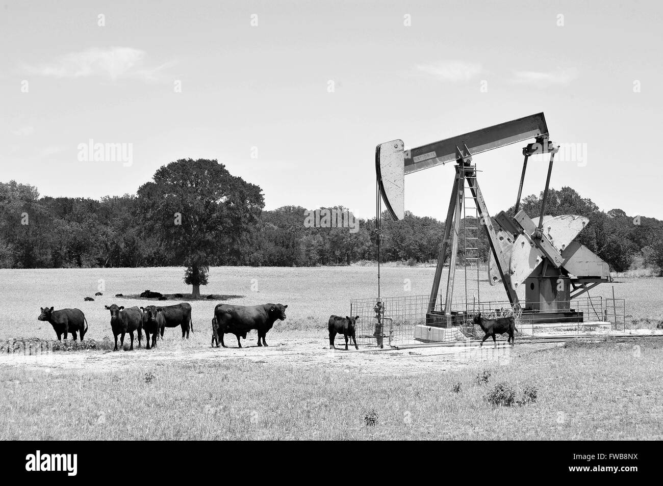 Puits de pétrole du Texas pumper en noir et blanc avec des prix pour votre type. Banque D'Images