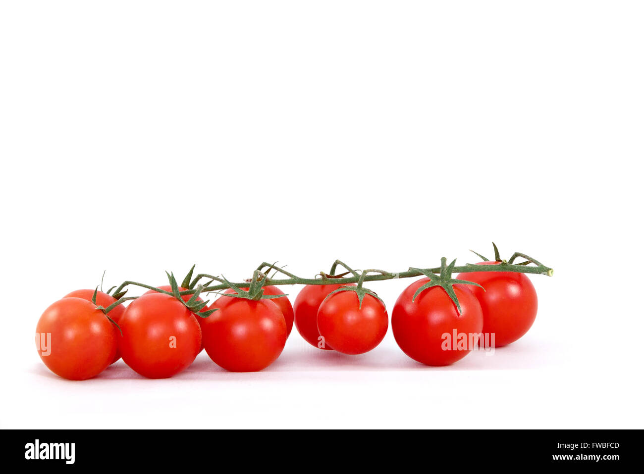 Tomates cerises mûres fraîches sur branch against white background Banque D'Images