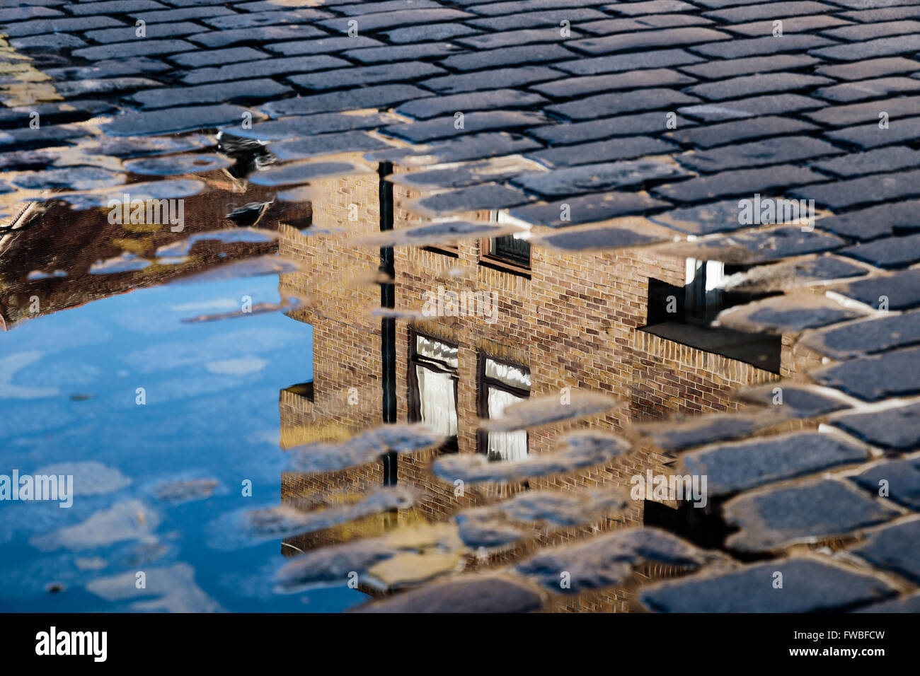 Cobblestone avec reflet de house en flaque d'eau après la pluie Banque D'Images