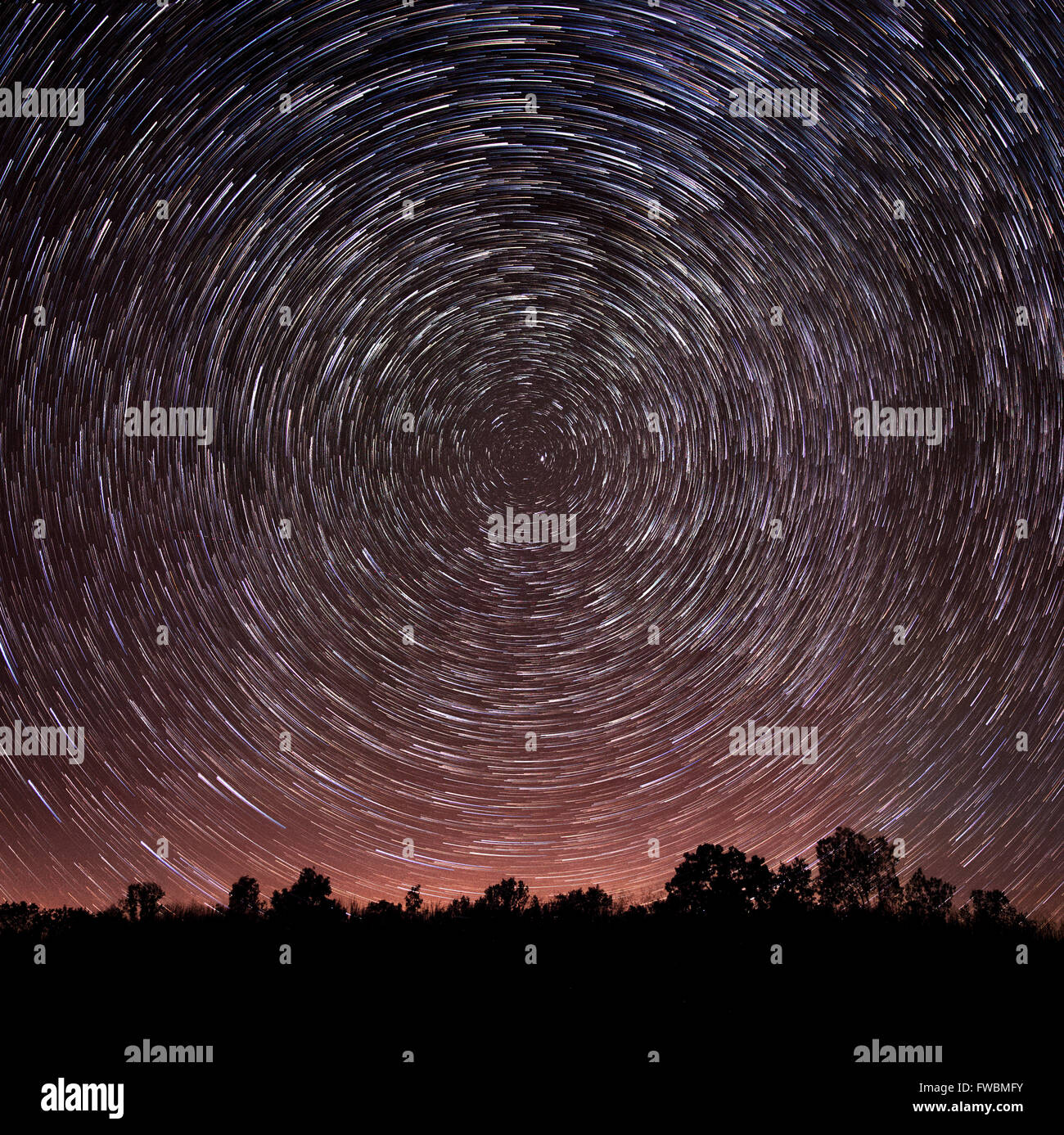 Star Trails sur une silhouette d'arbres. Banque D'Images