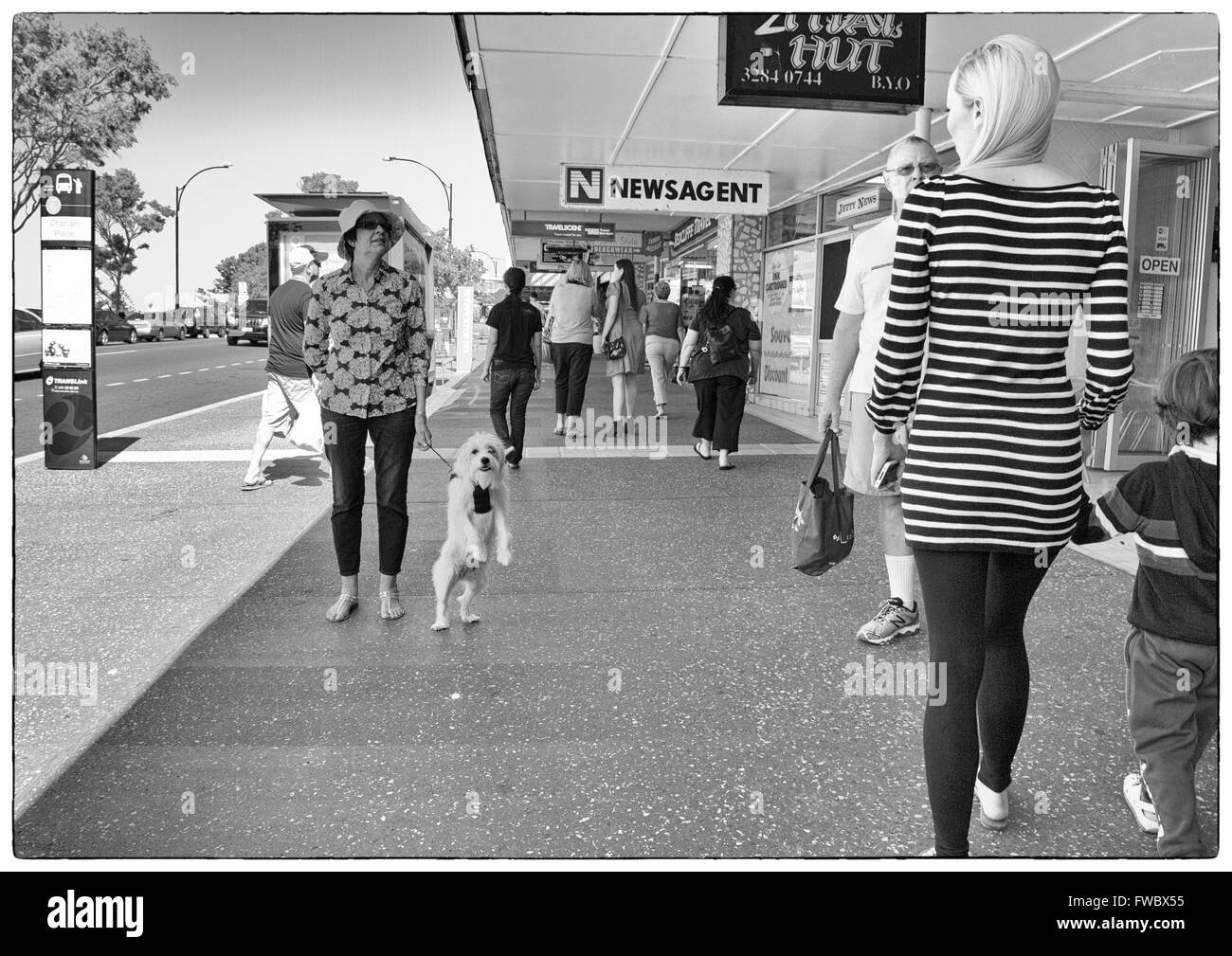 Photographie de Candide propriétaire avec chien en laisse tendre Redcliffe, Brisbane, Queensland, Australie Banque D'Images