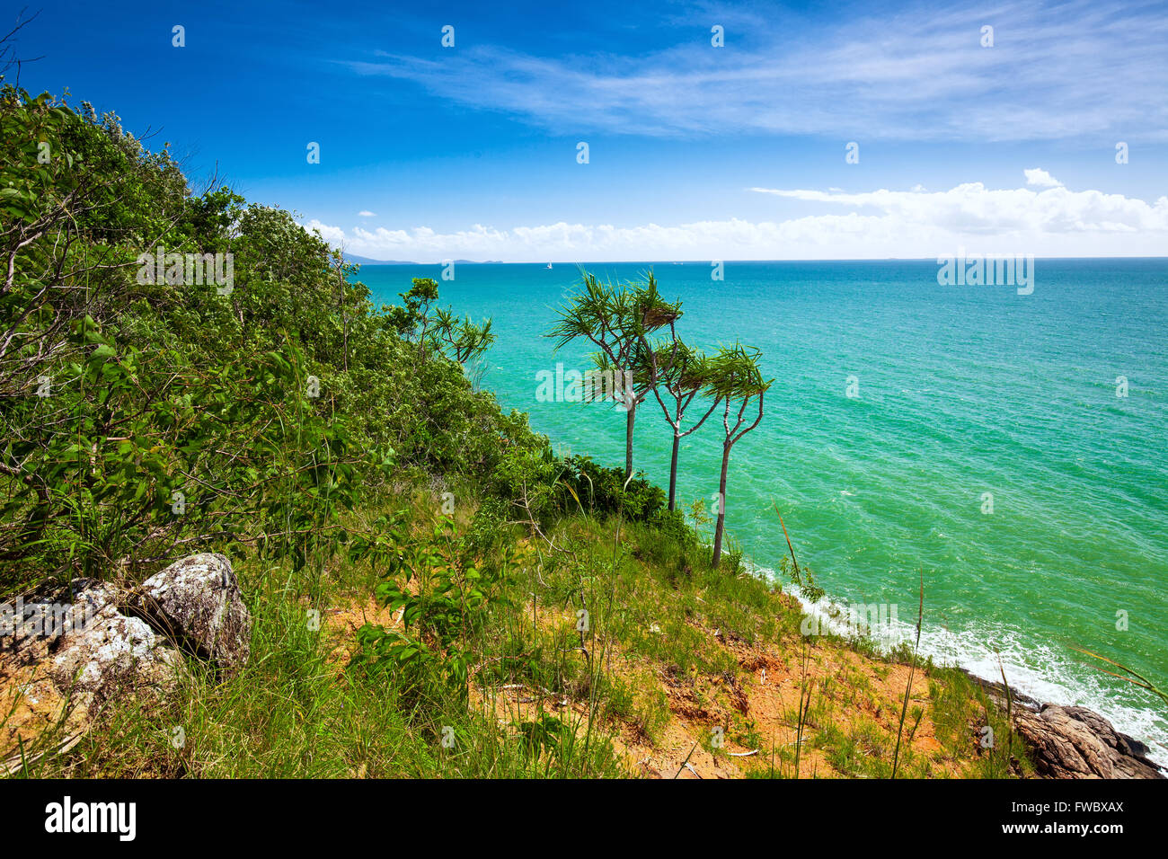 Plage et la végétation tropicale de l'affût, Port Douglas, Australie Banque D'Images