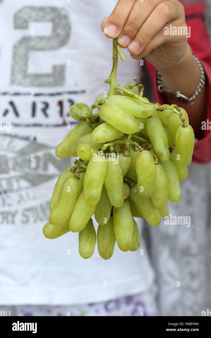 Les raisins de doigt de sorcière ou également connu sous le nom de Cotton Candy grapes Banque D'Images