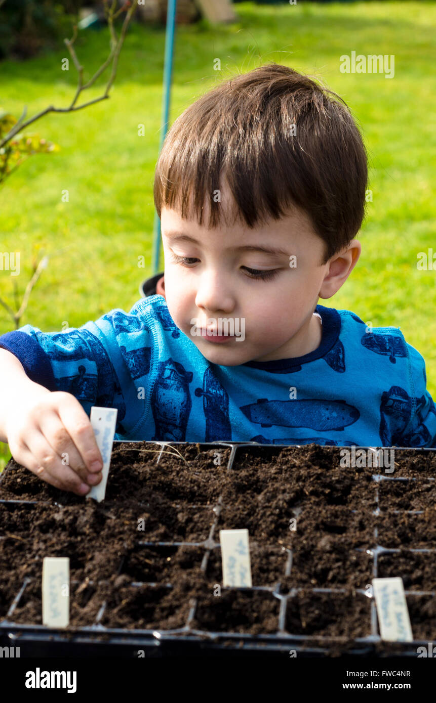 Un jeune garçon met une étiquette de semences Semences dans un bac. Banque D'Images
