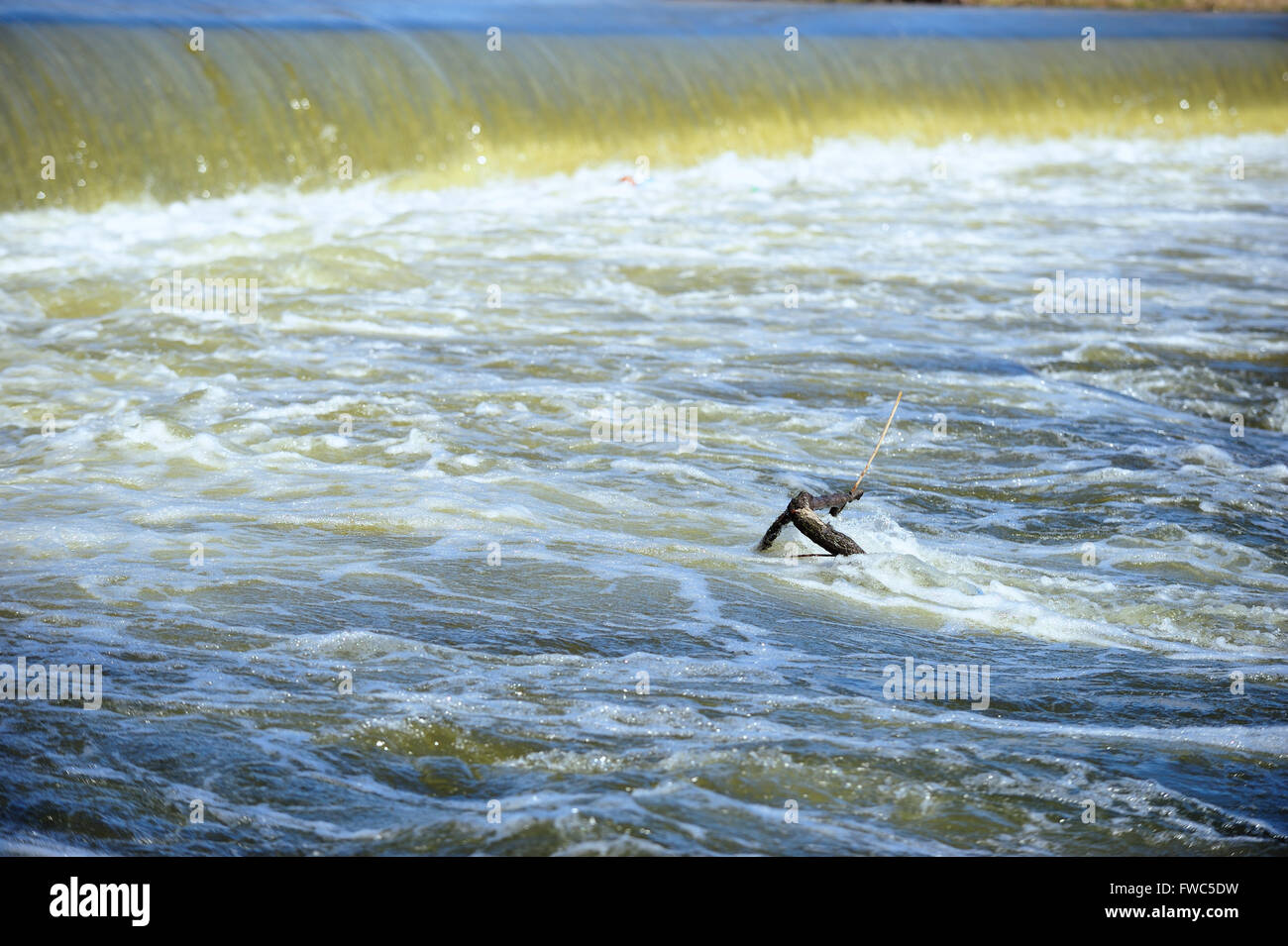 Verse de l'eau se précipiter sur un barrage de la rivière Fox dans un tourbillon d'activité. L'Elgin, Illinois, USA. Banque D'Images