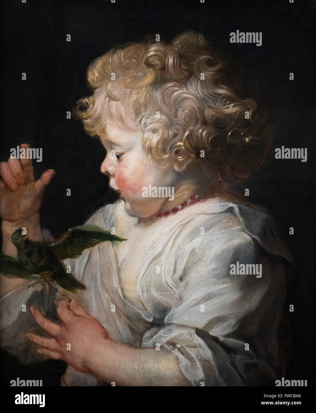 Peter Paul Rubens (1577-1640), l'enfant jouant avec un oiseau. Ca. 1630. Banque D'Images