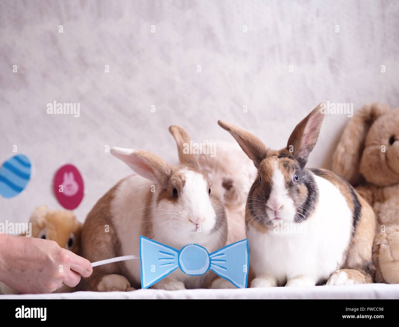 Deux lapins de Pâques avec un arc et des oeufs de pâques Banque D'Images