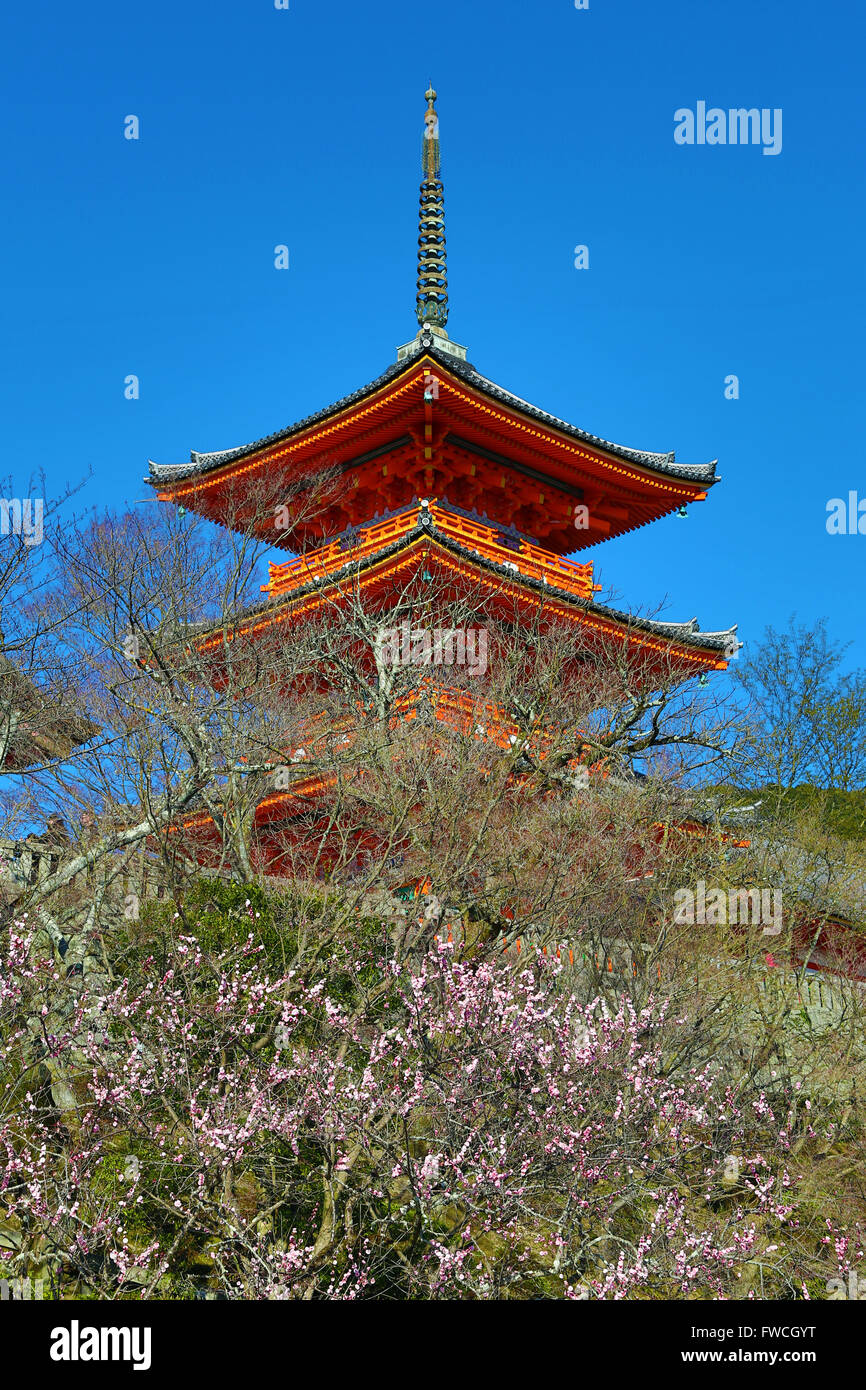 Trois étages pagode orange avec fleur de cerisier au Temple Kiyomizu-dera à Kyoto, Japon Banque D'Images