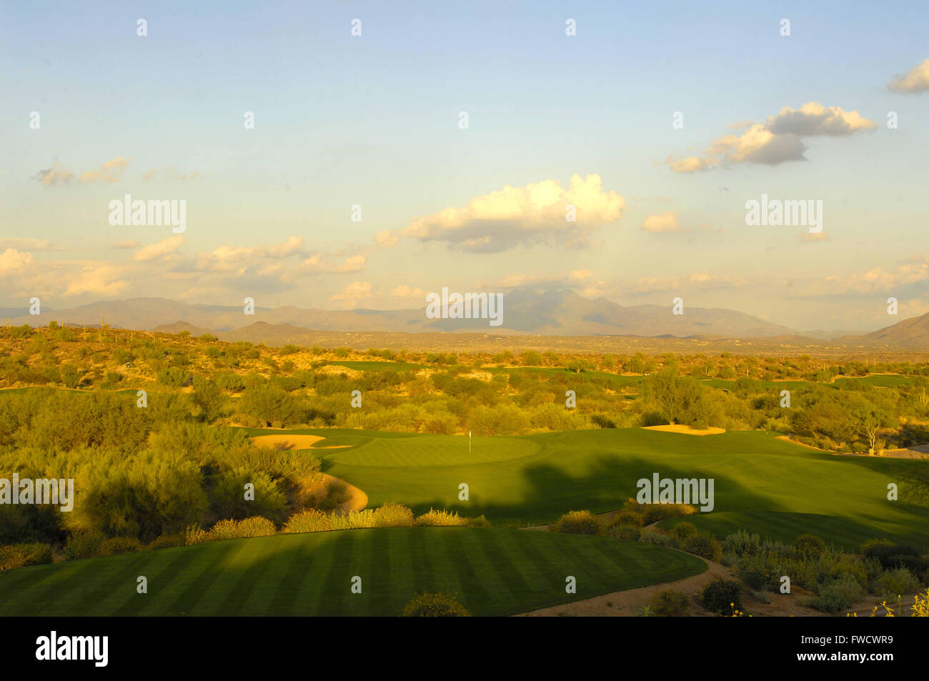 Fort Mcdowell, Arizona, USA. 2ème apr 2012. Tempe, Arizona ; Oct 21, 2006 Ã le trou n° 14 sur le Saguaro Cours à We-Ko-Pa Golf Club à Fort McDowell, Arizona) ZUMA PRESS/Scott A. Miller © Scott A. Miller/ZUMA/Alamy Fil Live News Banque D'Images