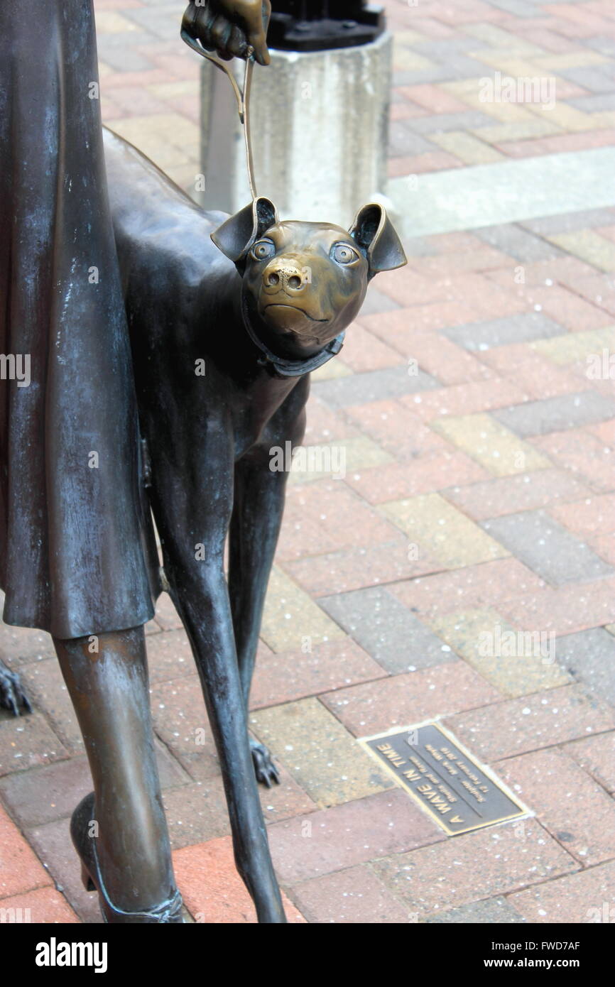 'Une vague dans le temps' - Close up of Dog Banque D'Images