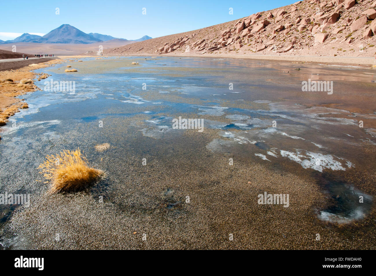 Vado Putana Altiplano - Région d'Atacama - Chili Banque D'Images