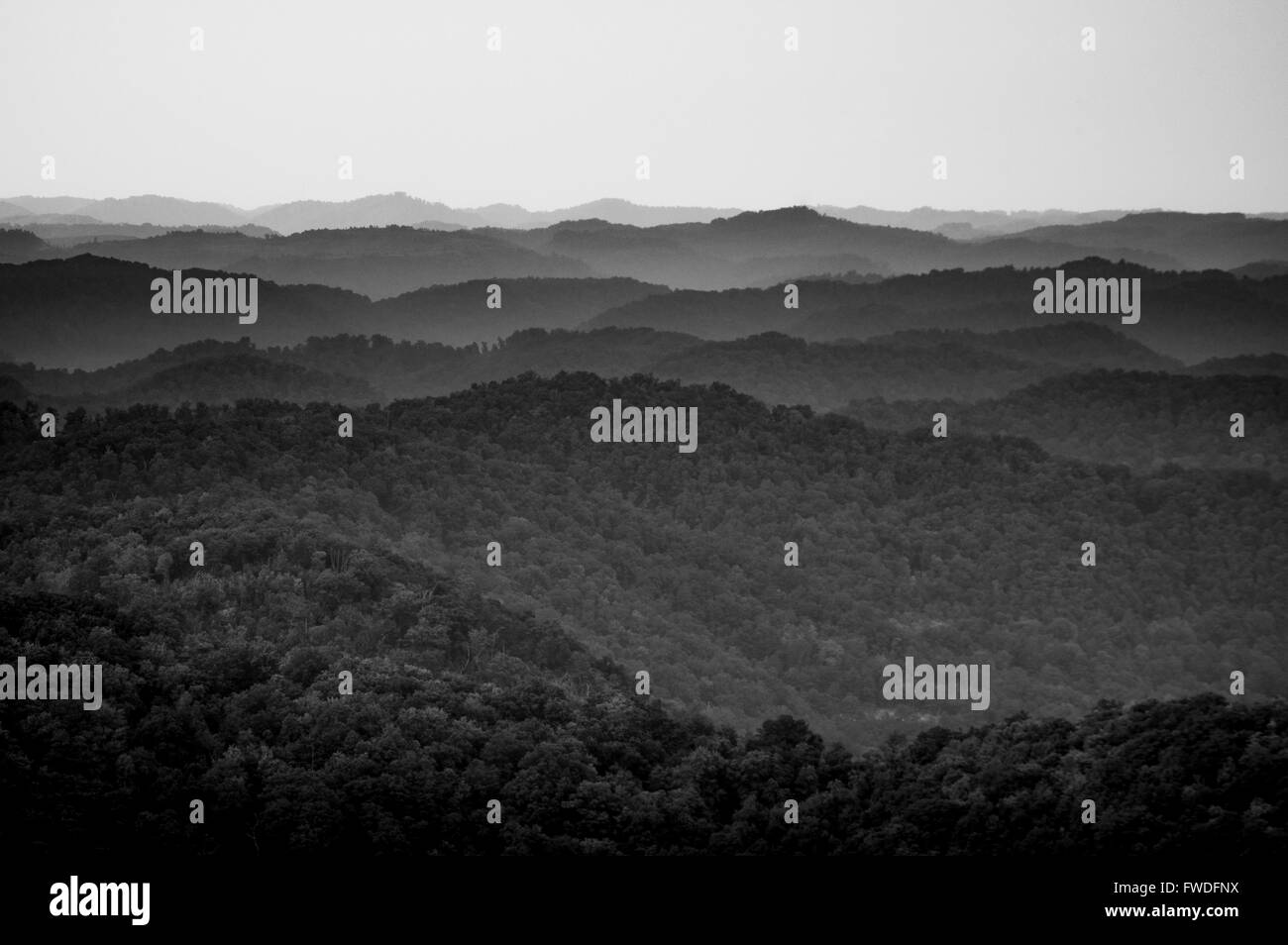 Photo en noir et blanc d'une chaîne de montagnes couvertes de brume pris dans Royaume venu State Park, Kentucky. Banque D'Images