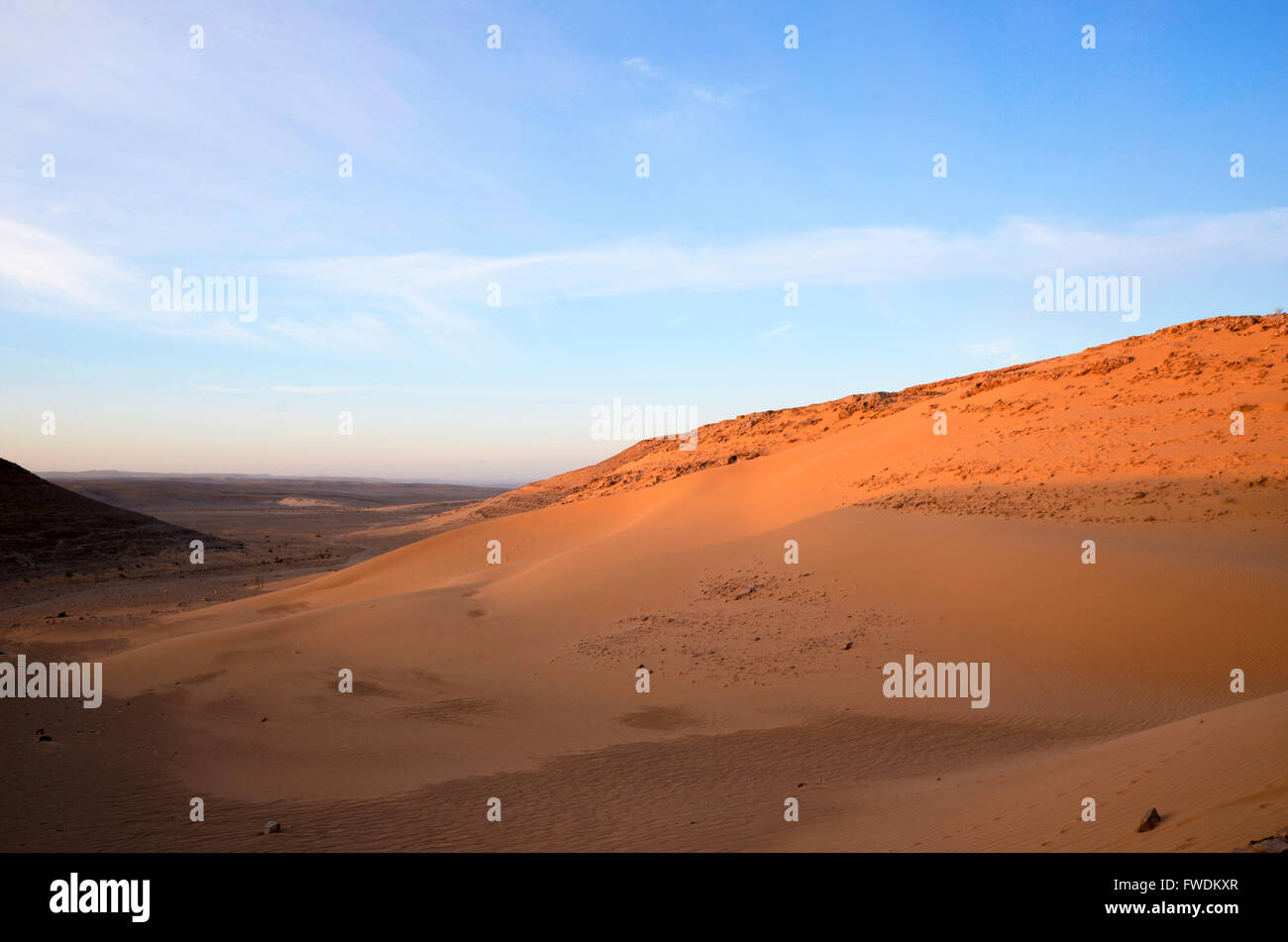 Dunes de sable du désert. Photographié dans la région de l'Aravah, désert du Néguev, Israël Banque D'Images