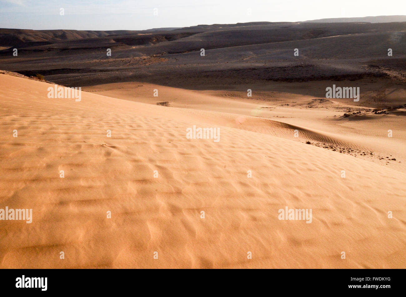 Dunes de sable du désert. Photographié dans la région de l'Aravah, désert du Néguev, Israël Banque D'Images