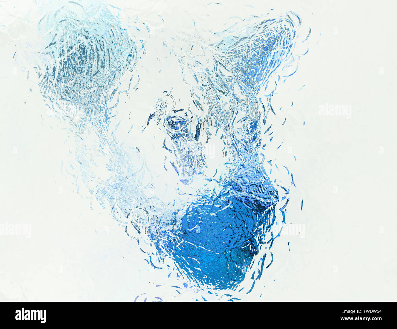 Lion et effet de verre bleu, couleur, fond blanc. Banque D'Images