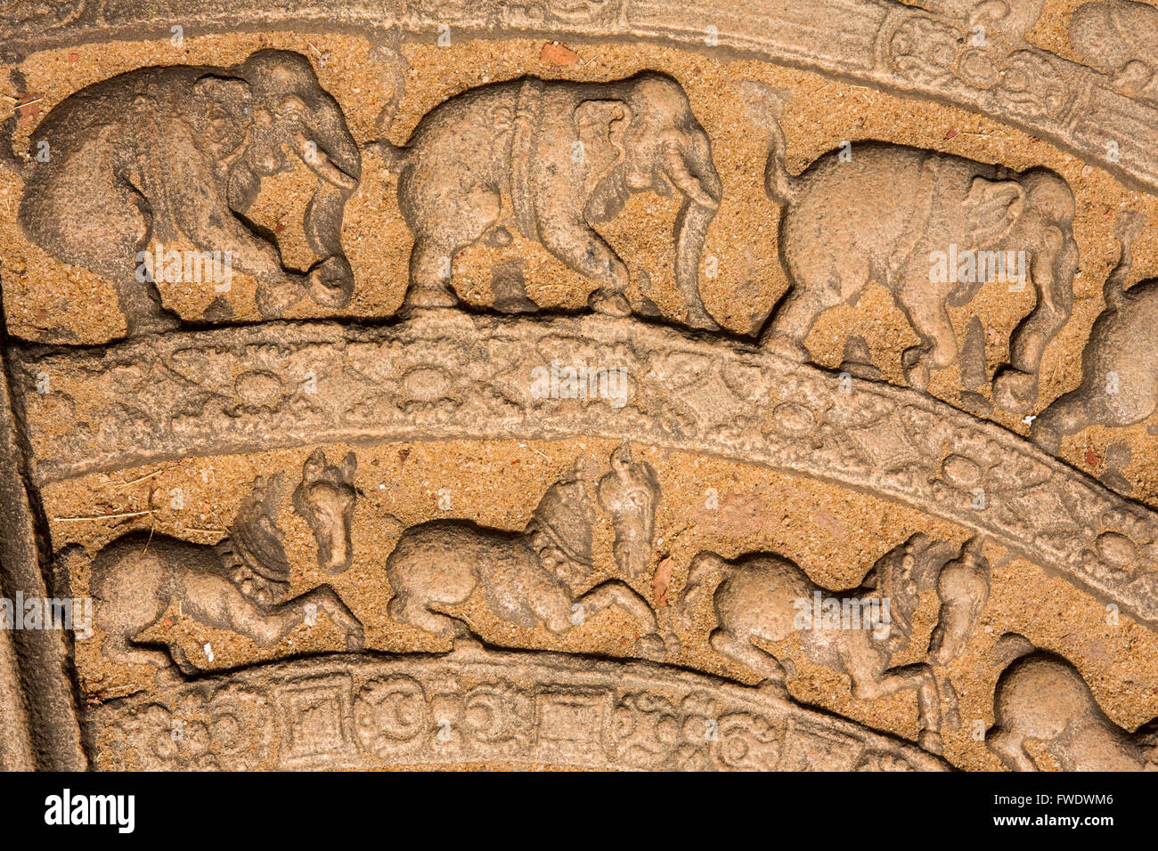 Sri Lanka, Polonnaruwa, Quadrangle, Vatadage, moonstone détail Banque D'Images