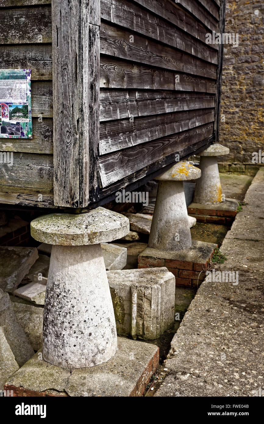 Staddle stones appuyer seeds store Banque D'Images
