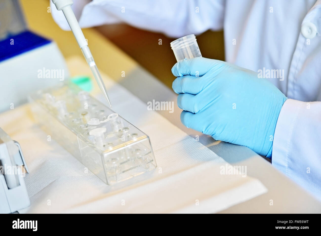 Détail avec mains chercheur travaillant avec compte-gouttes et des tubes médicaux dans un laboratoire d'effectuer un test ADN Banque D'Images