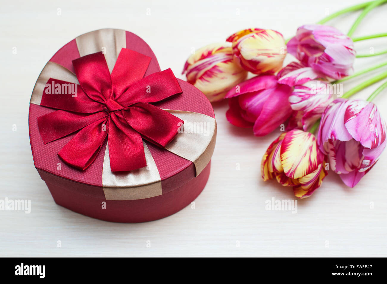 Tulipe rose et forme de la boîte coeur isolé sur fond blanc Banque D'Images