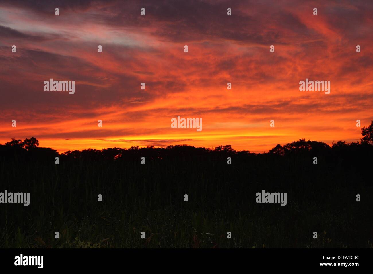 Coucher de soleil rouge et orange Banque D'Images