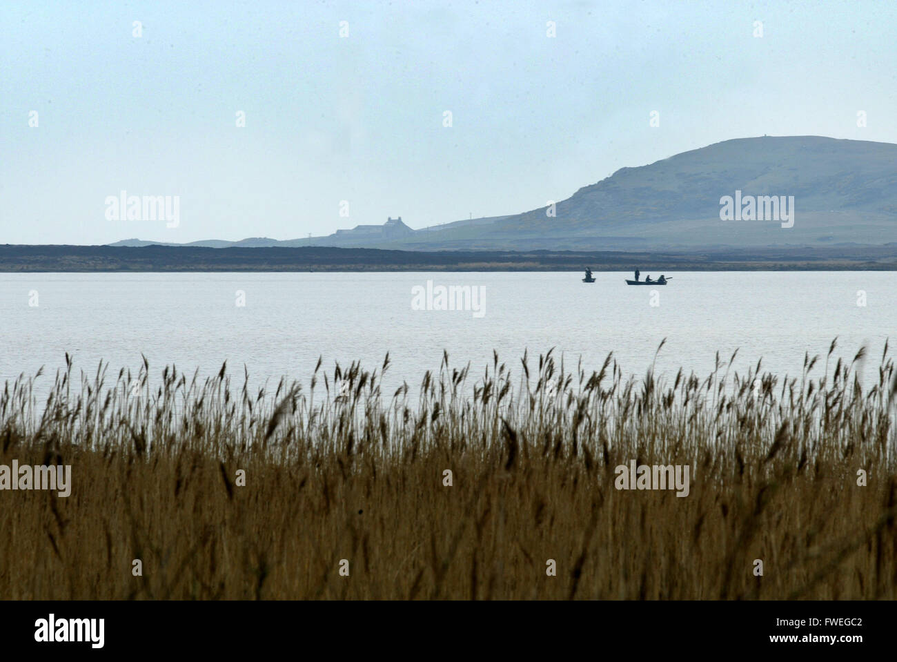 Bateau de pêche Les pêcheurs sur l'île écossaise d'Islay Banque D'Images