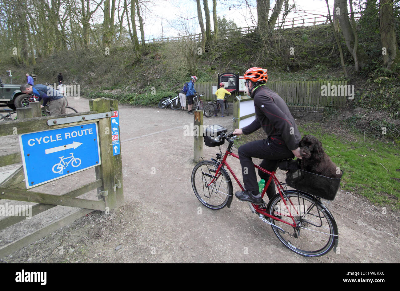 Un cycliste transporte son chien dans un porte-vélo sur le sentier de Tissington dans le Derbyshire Dales England UK Banque D'Images