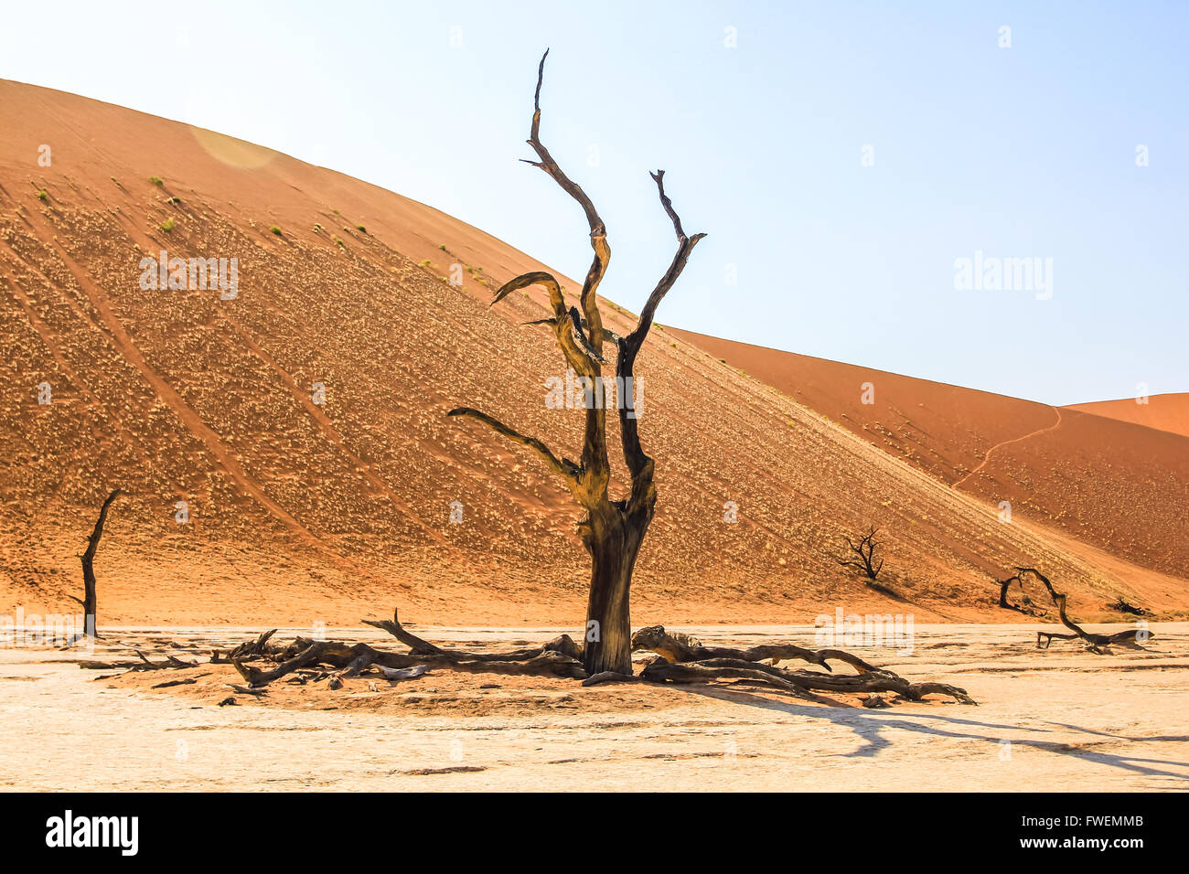 Namib Naukluft NP Banque D'Images