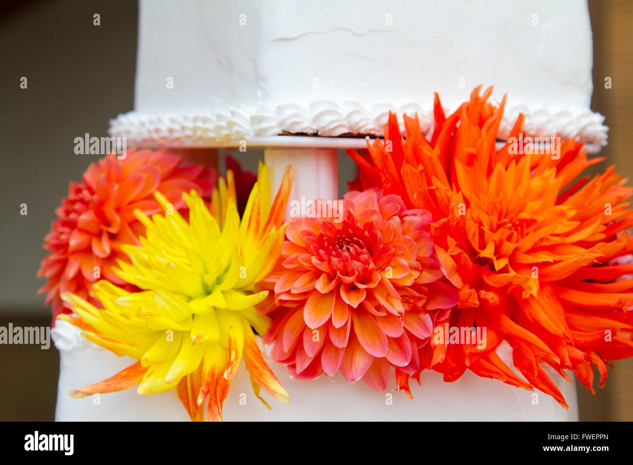 Un blanc très traditionnel gâteau de mariage à la réception d'une mariée et le marié le jour de leur mariage. Banque D'Images
