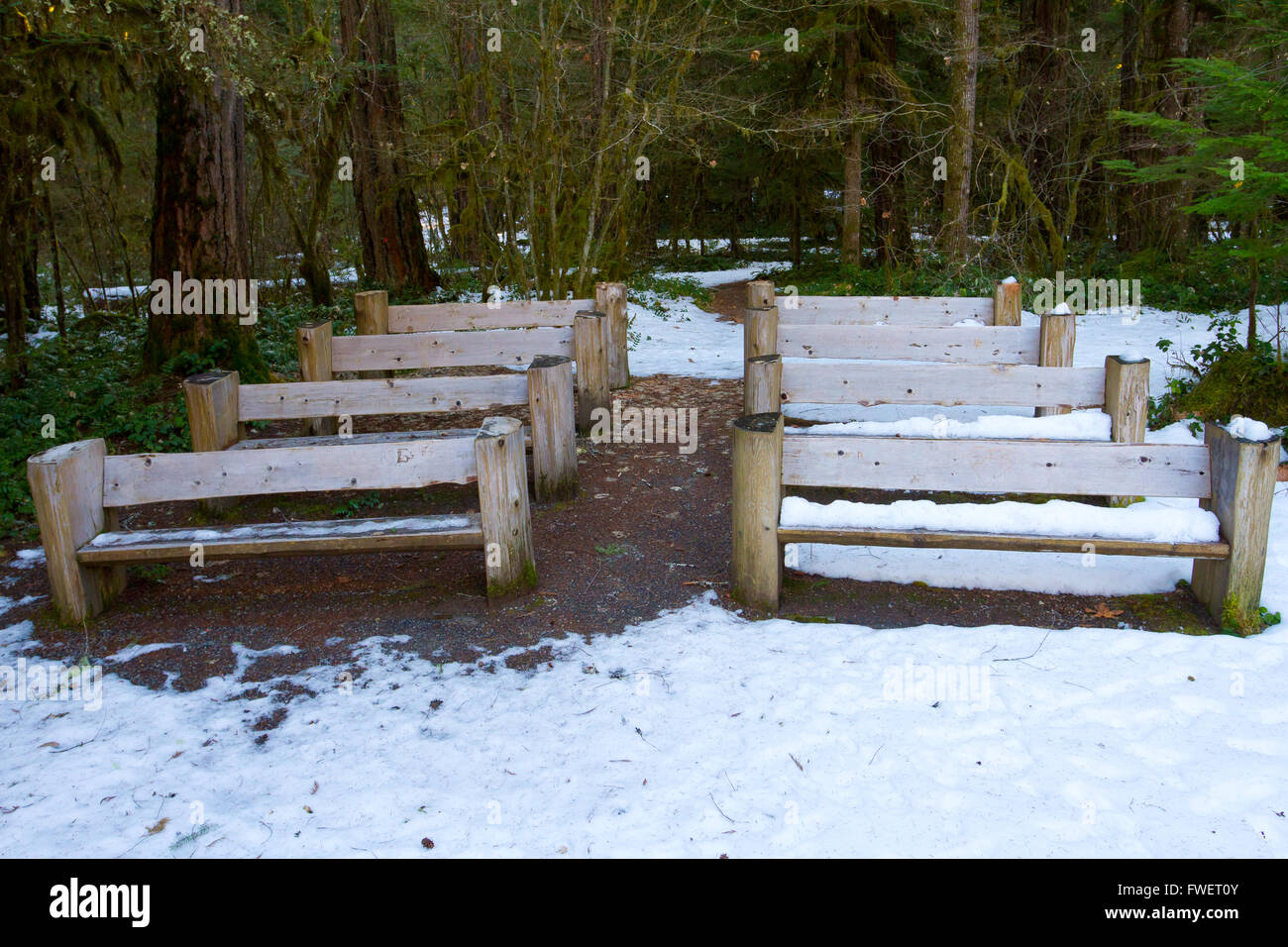 Bancs en bois ont été construites à la main et placés dans ce cadre boisé de créer un amphithéâtre avec des sièges. Banque D'Images