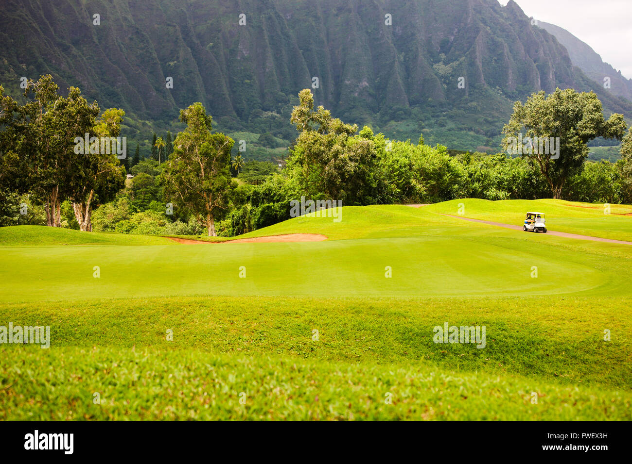 Golf à la base de la chaîne de montagnes Koolau, New York Banque D'Images