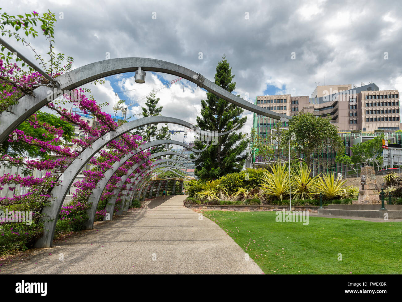 Les Jardins Botaniques de Brisbane Banque D'Images