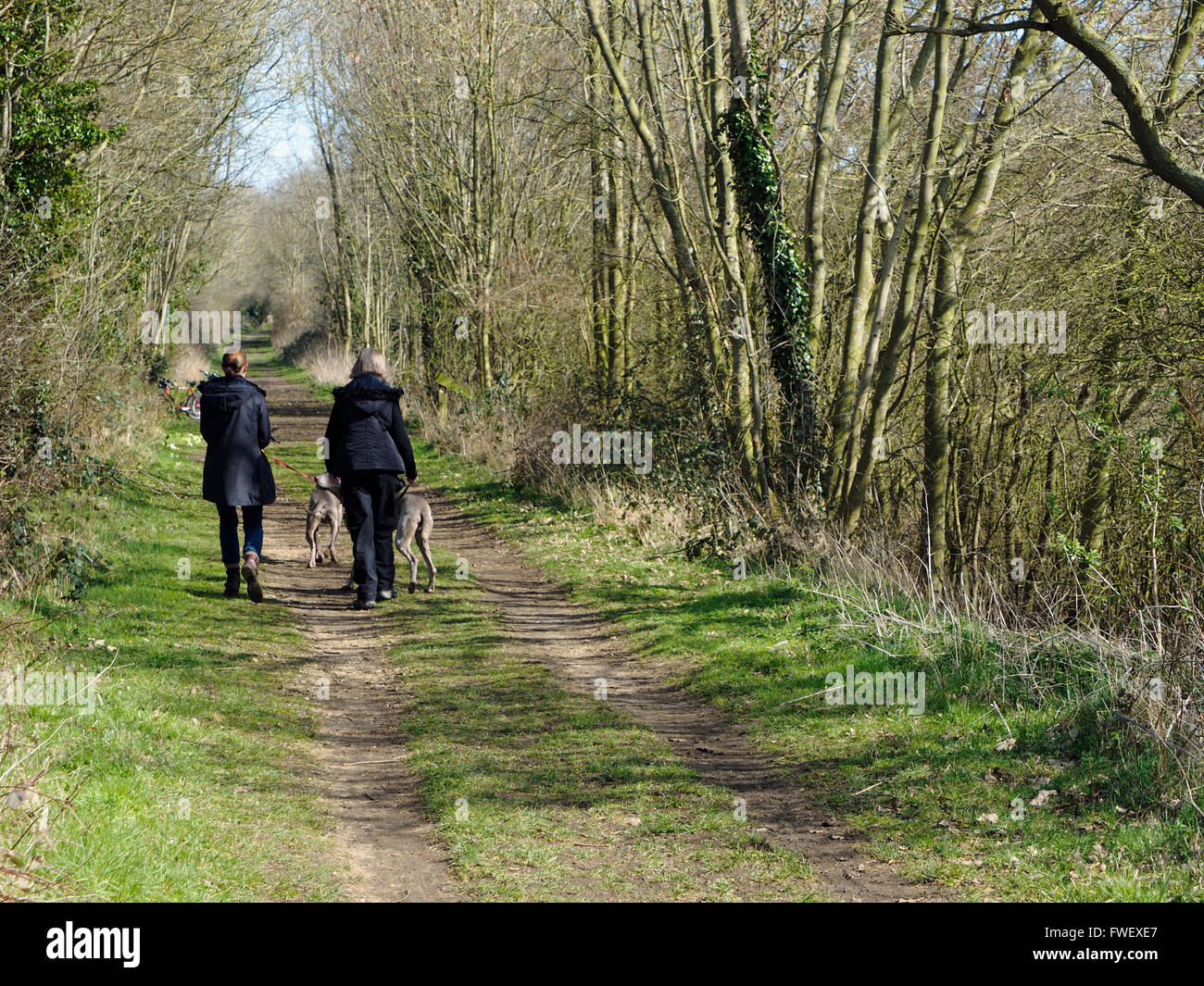 Les promeneurs sur les Marriott's Way commun chemin le long d'une ligne de chemin de fer abandonnée à la mi-Norfolk près de Reepham Banque D'Images